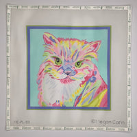 Persian Cat
