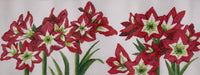 Amaryllis Bolster
