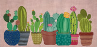 Cactus on 13M
