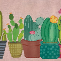 Cactus on 13M