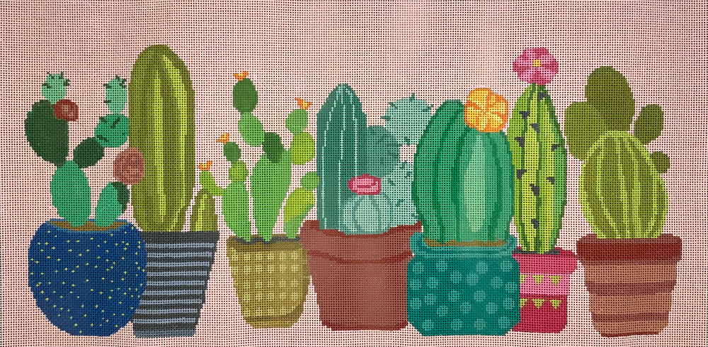 Cactus on 13M