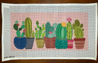 Cactus on 13M
