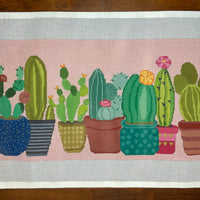 Cactus on 13M