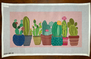 Cactus on 13M