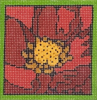 Mini Red Hot Poppy

