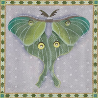 Moth
