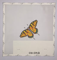 Swallowtail

