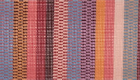 Fall Stripes Eyeglass Case Insert
