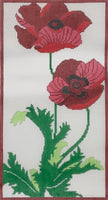 Poppies
