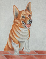 Corgi
