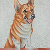 Corgi