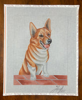 Corgi
