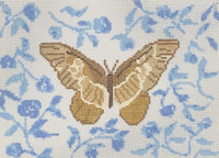Tan Butterfly on Blue Background
