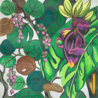 Banana Leaf
