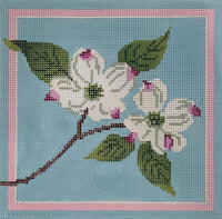 White Dogwood Blossom
