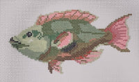Green Fish
