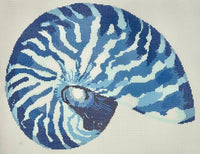 Nautilus

