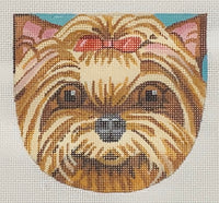 Yorkie
