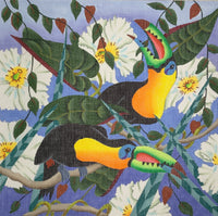 Toucans
