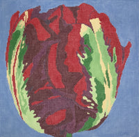 Red Tulip
