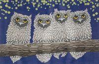 Owls Night
