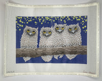 Owls Night
