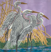 Great Egrets
