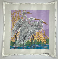 Great Egrets
