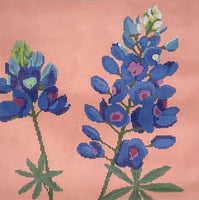 Bluebonnets

