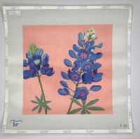 Bluebonnets
