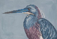 Tri-Colored (Louisiana) Heron
