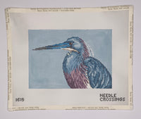 Tri-Colored (Louisiana) Heron
