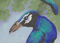 Peacock with stitch guide
