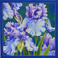Blue Iris
