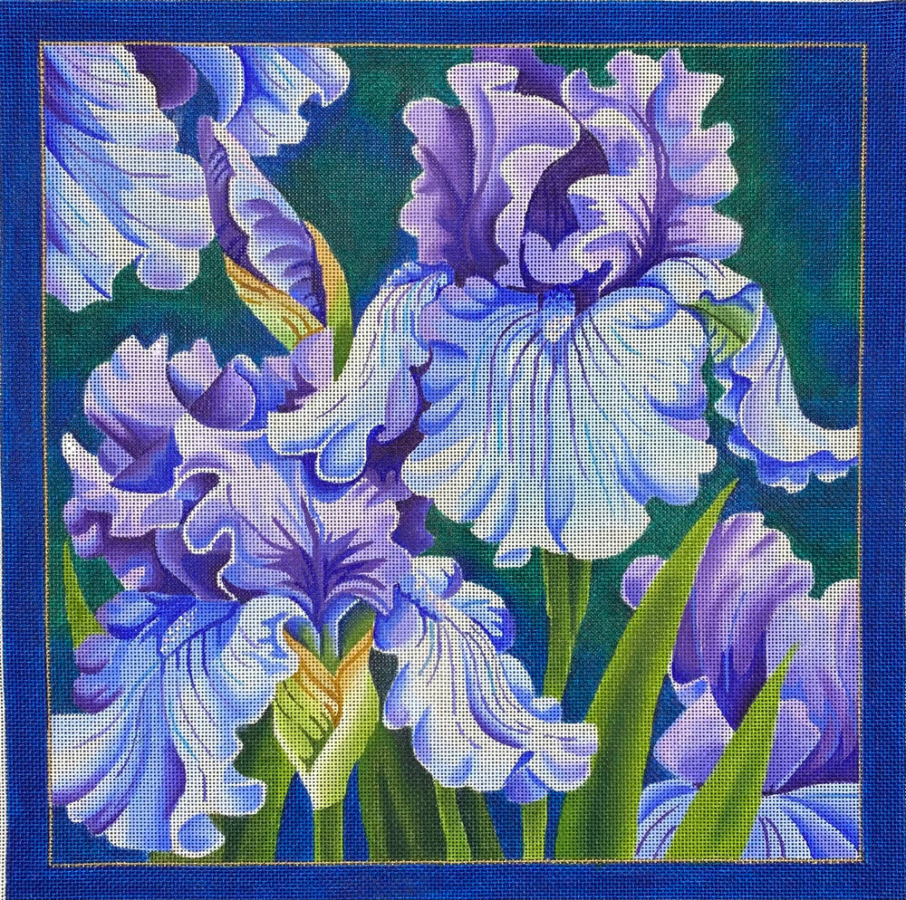 Blue Iris