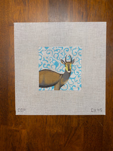 Antelope