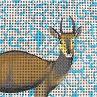 Antelope