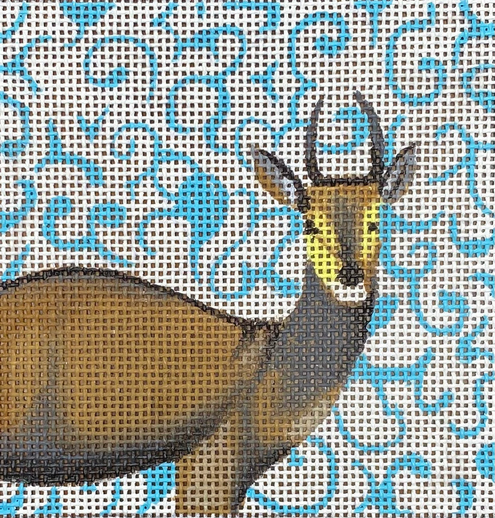 Antelope