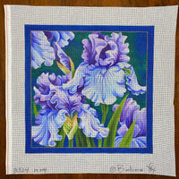 Blue Iris