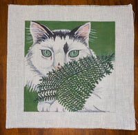 Cat with Fern
