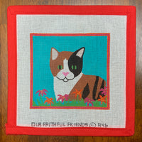 Cat Square