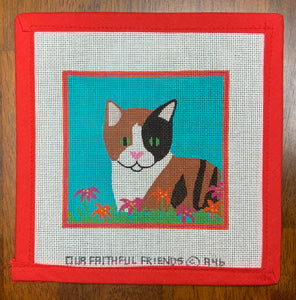 Cat Square