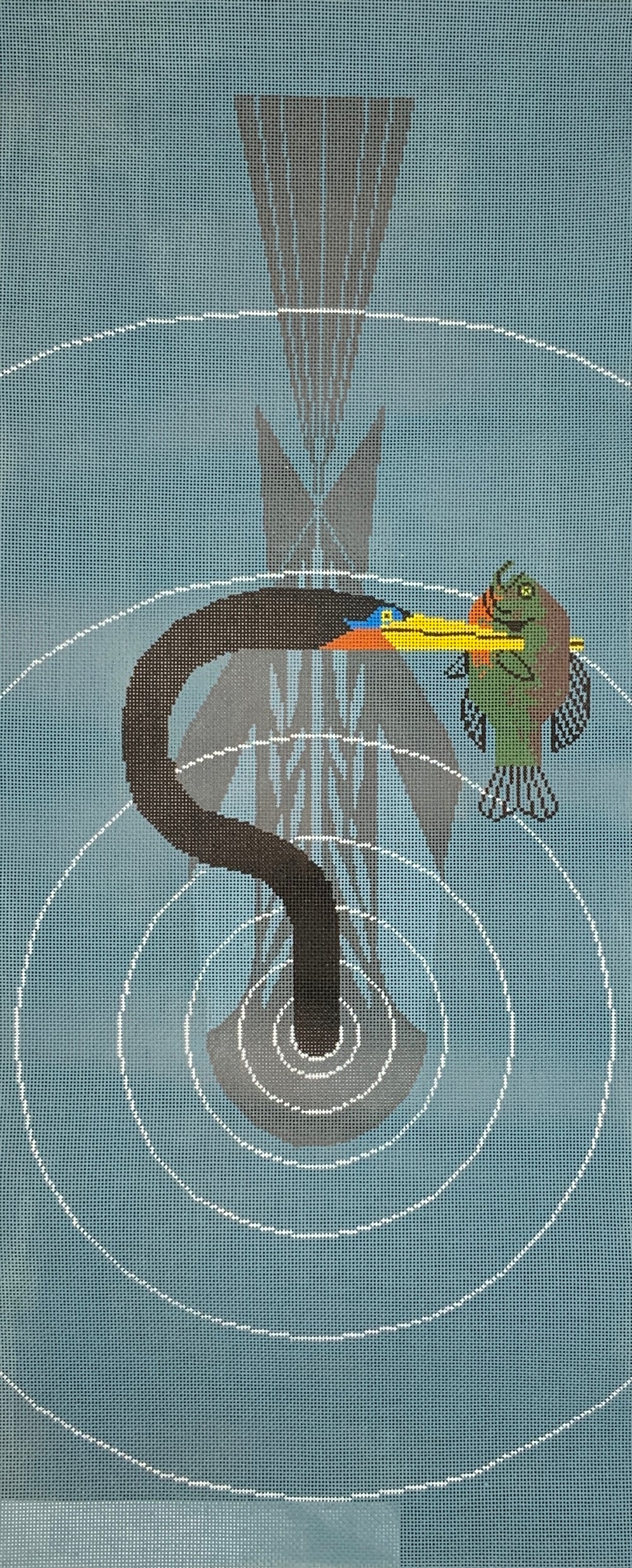 Anhinga