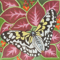 Butterfly 2