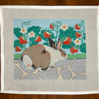 Rabbit in the Strawberry Patch