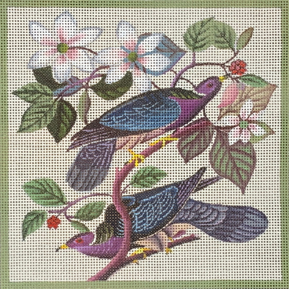 Doves