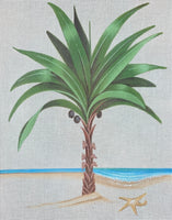 Palm Tree Beach
