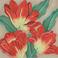 Tulips
