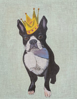 Frenchie
