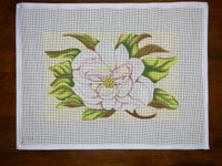 Cream & Pink Magnolia
